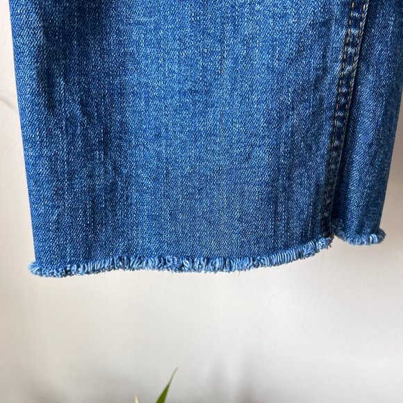 Gently Worn Pilcro and the Letterpress by Anthropologie Slim Straight Jeans - Picture 8 of 13